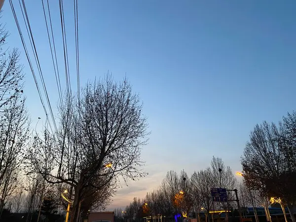 stock image view of the city of the park in the evening