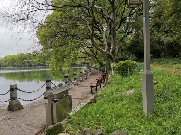 Stock image beautiful view of the park