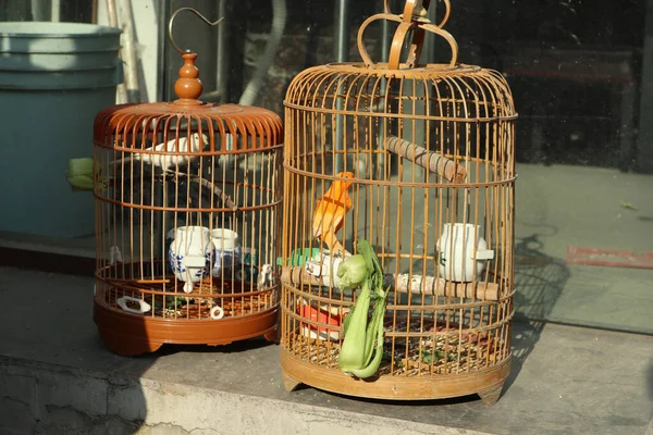 a small bird cage in a basket