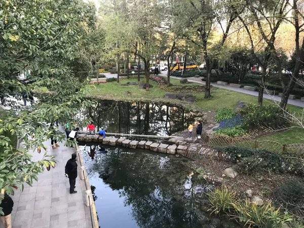 stock image beautiful view of the park