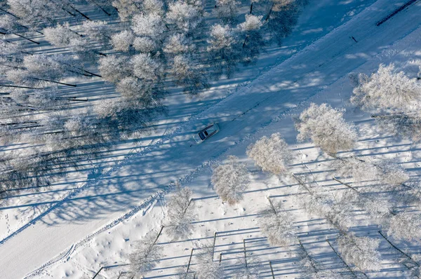 aerial view of the snow-covered forest in the winter