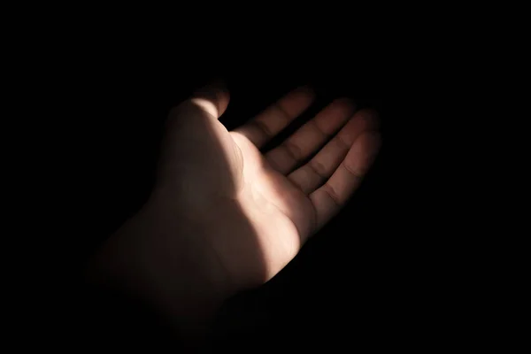 hand holding a black and white heart on a dark background