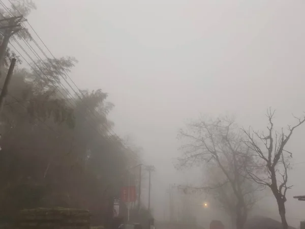 foggy morning fog in the city