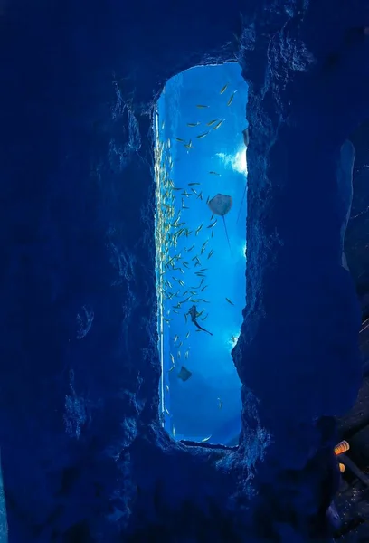 underwater scene with a beautiful blue sea