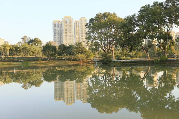 stock image beautiful view of the park