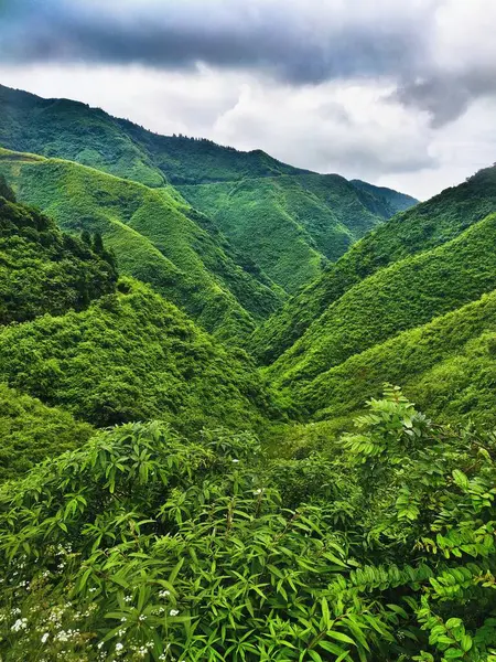 山の中の緑の丘や雲 — ストック写真