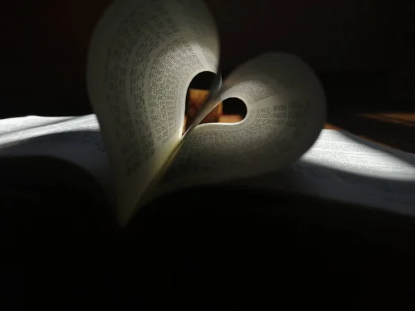 a closeup shot of a book with a heart