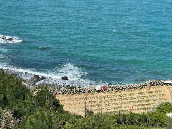 a vertical shot of a beach with a white waves