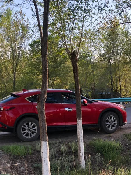 red car in the forest