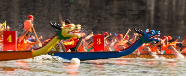 the dragon and the festival of the city of thailand