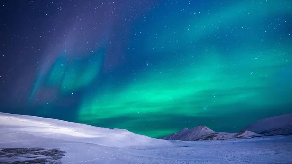 beautiful northern lights over the arctic mountains in norway