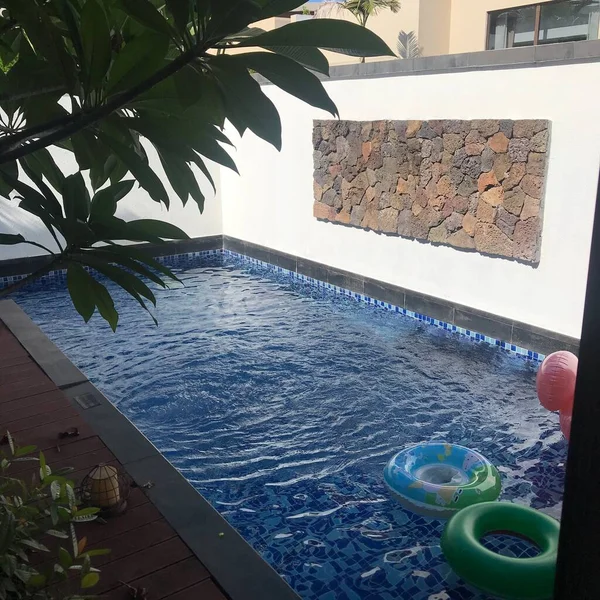 swimming pool with green leaves and a glass of water