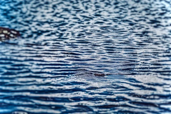 water ripples on the beach