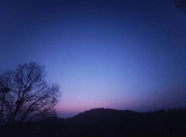 Stock image beautiful night sky with trees and forest