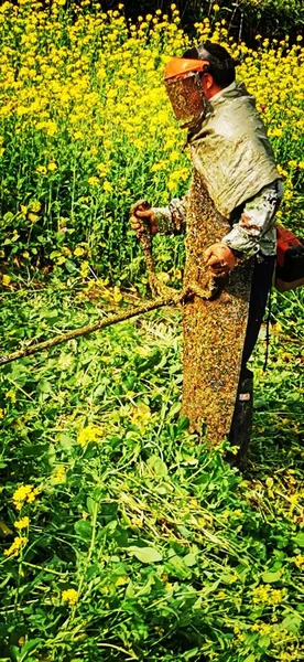 a man in a yellow jacket with a bee in the field