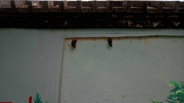 old rusty metal wall with a window