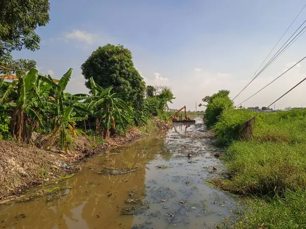 Canal Árbol Barrio Pobre Tailandia — Foto de Stock