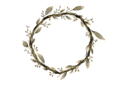 Çelenk bitkisinin suluboya resmi beyaz arkaplanda süsleme yapıyor