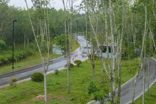 Carro Concreto Livre Estrada Bicicleta Perto Árvore Borracha — Fotografia de Stock