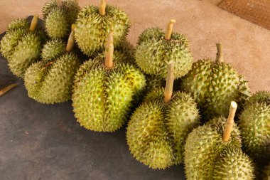 Taze Durian yığını hasat için hazır.
