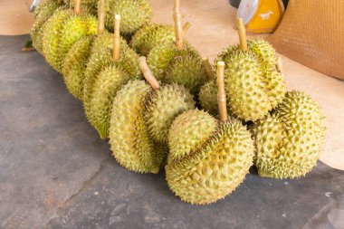 Taze Durian yığını hasat için hazır.