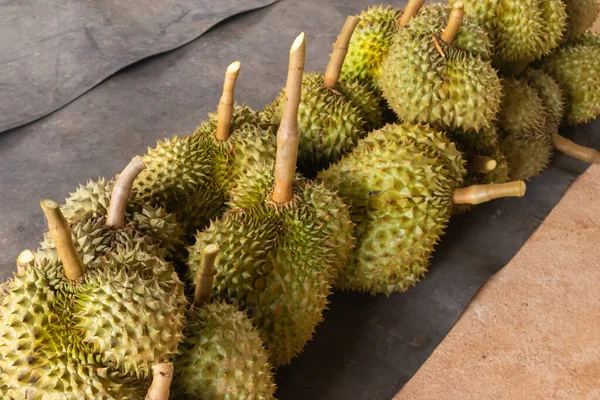 Taze Durian yığını hasat için hazır.