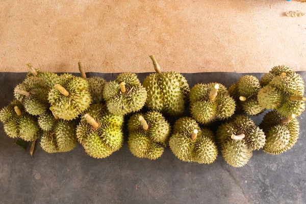 Taze Durian yığını hasat için hazır.