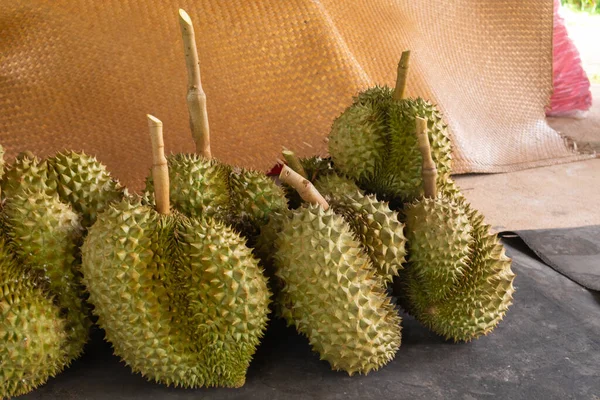 Taze Durian yığını hasat için hazır.