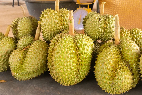 Taze Durian yığını hasat için hazır.