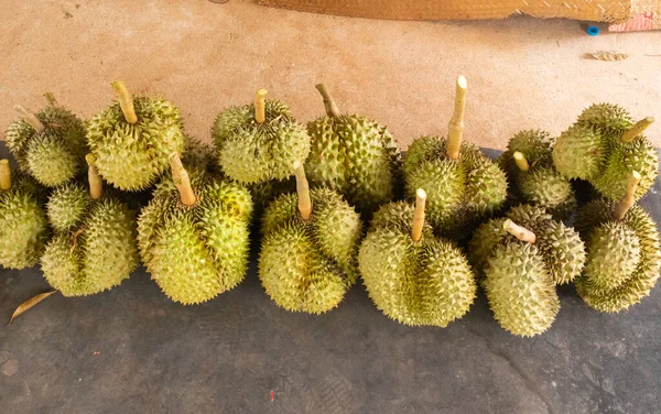 Taze Durian yığını hasat için hazır.