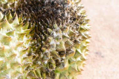 Çürümüş Durian beyaz küf sorununu kapat