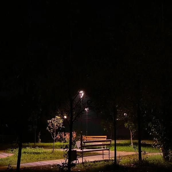 Lanterne Panche Illuminanti Tra Gli Alberi — Foto Stock
