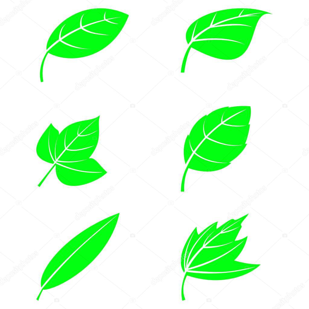 six kinds of leaf icon image by vector design