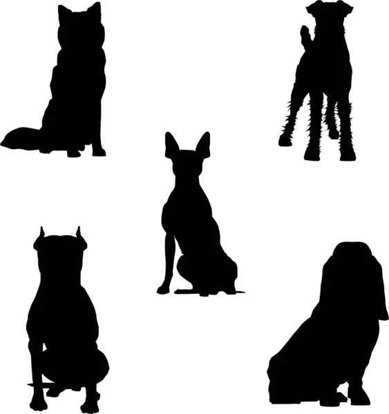 Varios Tipos Silueta Perro Por Diseño Vectores — Archivo Imágenes Vectoriales