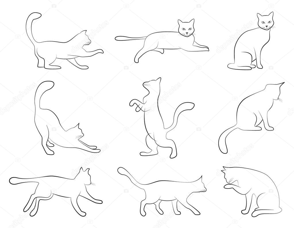 cat pose outline set