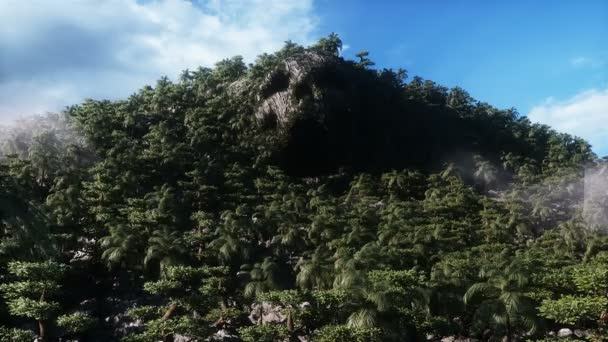 Kafatası Dağlı Fantezi Adası Havalı Bir Kavram Dinamik Ağaçlar Gerçekçi — Stok video