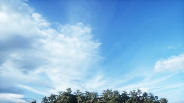 Fantasy Island Skull Mountain Airy Concept Dynamic Trees Realistic Animation — Stok video