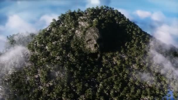 Fantasy Island Skull Mountain Airy Concept Dynamic Trees Realistic Animation — Stockvideo