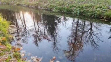 Savaştan önce Bucha şehri, Ukrayna 'da ağaçların ve güneşin sudaki yansımasıyla parktaki güzel dere.)
