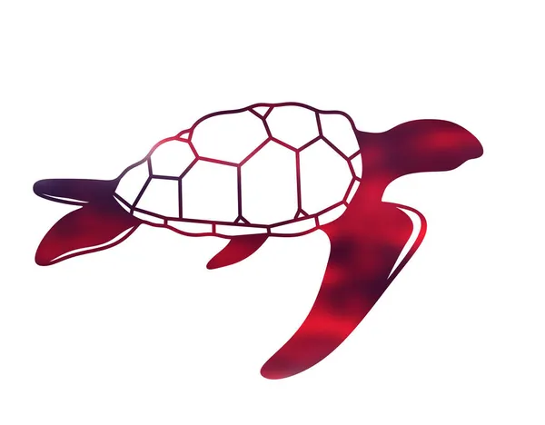 Turtle Logo White Background — Stock Photo, Image