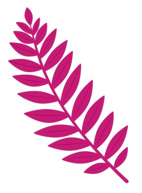 Beyaz arka planda tropik yapraklar