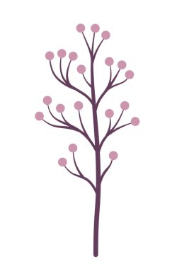 Kolaj yapmak için bir bitki. Yaratıcı bitki fikirleri. Kartpostallar için bitki ekle