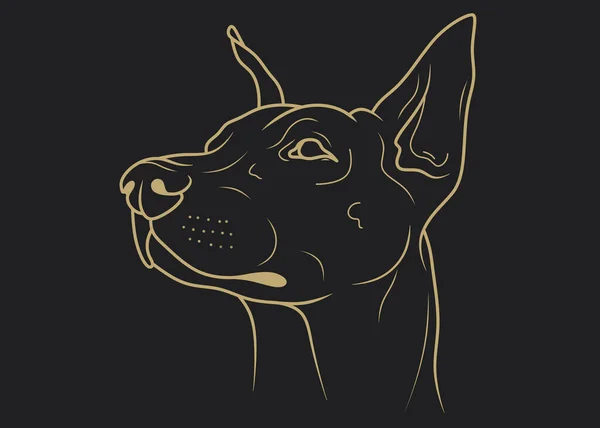 Доберман Собака Собачья Голова Серый Фон Pet — стоковое фото