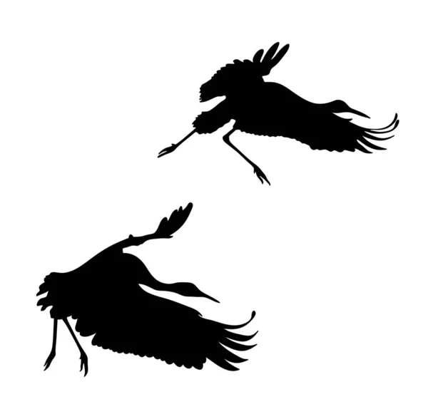 Ptačí Silueta Jeřábi Letí Izolovaná Ilustrace Ptáka — Stock fotografie