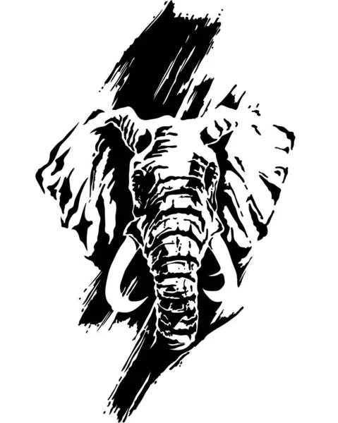 Elefant Silhouette Eines Elefanten Schwarz Weiße Illustration Eines Elefanten Gezeichneter — Stockfoto