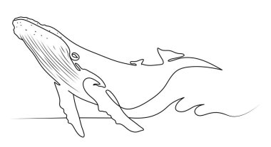 Whale. Isolated illustration of a whale. Drawn whale. Silhouette of a whale.