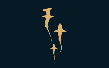 Shark silhouette. Shark logo. Isolated illustration of sharks.
