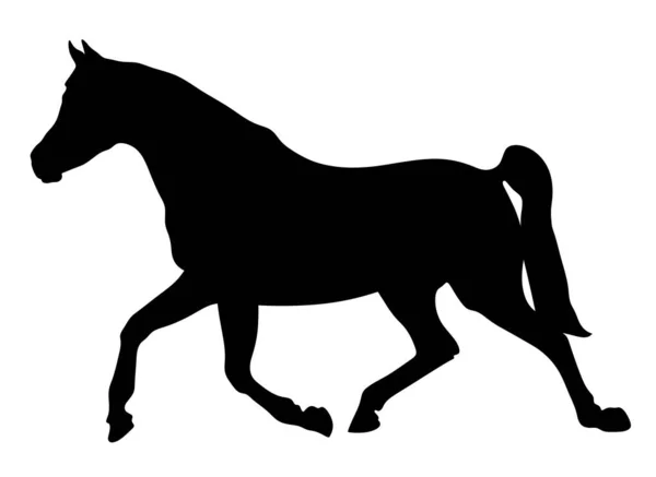 Silhouette Horse Isolated Illustration Horse Horse Running — стоковое фото