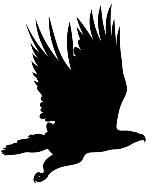 Ptačí Silueta Orlí Silueta Izolovaná Silueta Orla — Stock fotografie