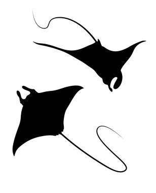 Stingray silhouette. Stingrays isolated illustration.